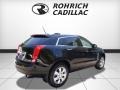 Black Raven - SRX Luxury AWD Photo No. 5