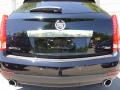 Black Raven - SRX Luxury AWD Photo No. 13