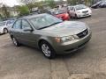 Natural Khaki Green - Sonata GLS Photo No. 8