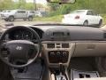Natural Khaki Green - Sonata GLS Photo No. 11