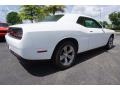 White Knuckle - Challenger SXT Photo No. 3