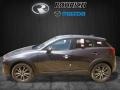 Meteor Gray Mica - CX-3 Touring AWD Photo No. 3