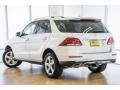 Polar White - GLE 350 Photo No. 3