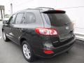 2010 Black Forest Green Metallic Hyundai Santa Fe SE  photo #4