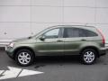 2008 Green Tea Metallic Honda CR-V EX-L 4WD  photo #2