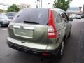 2008 Green Tea Metallic Honda CR-V EX-L 4WD  photo #6