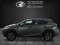 Atomic Silver - NX 200t AWD Photo No. 3