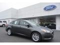 Magnetic - Focus SE Sedan Photo No. 1