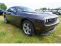 Granite Pearl - Challenger SXT Photo No. 4