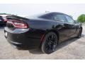 Pitch-Black - Charger SE Photo No. 3
