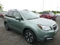 Jasmine Green Metallic 2017 Subaru Forester 2.5i Premium Exterior