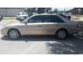Desert Sand Metallic - Avalon XL Photo No. 6