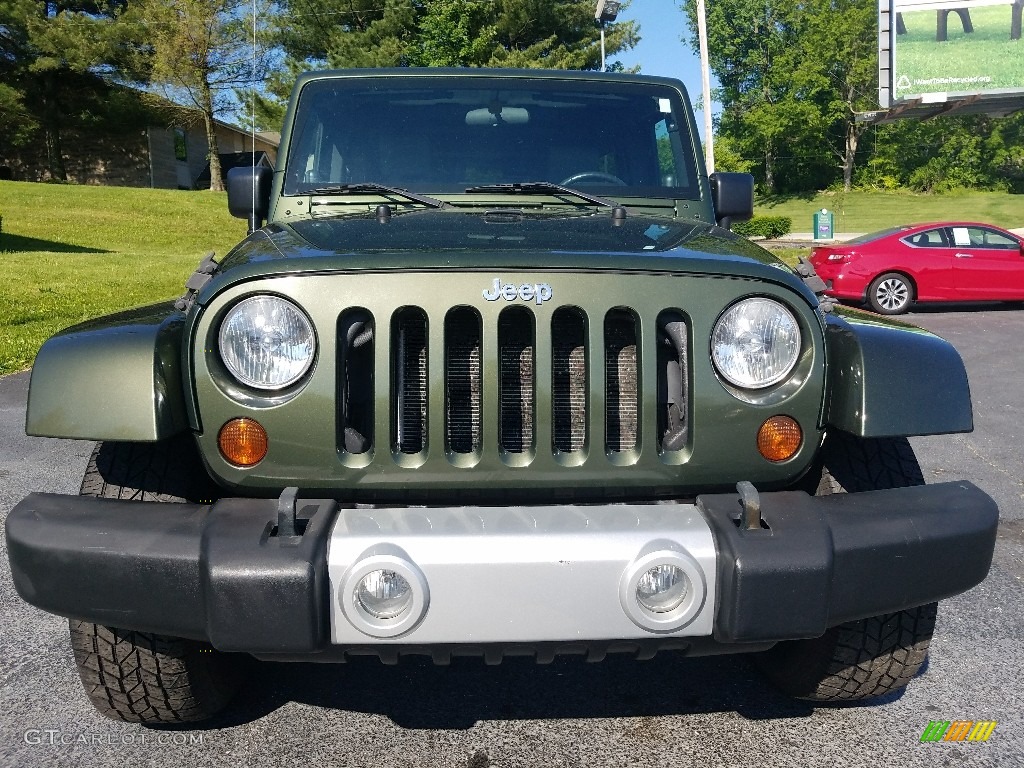 2008 Wrangler Unlimited Sahara 4x4 - Rescue Green Metallic / Dark Slate Gray/Med Slate Gray photo #8