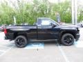 2017 Black Chevrolet Silverado 1500 WT Regular Cab 4x4  photo #9