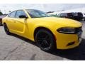 Yellow Jacket - Charger SE Photo No. 4