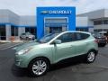 Kiwi Green 2011 Hyundai Tucson Limited AWD