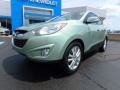 Kiwi Green - Tucson Limited AWD Photo No. 2