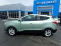 Kiwi Green - Tucson Limited AWD Photo No. 3
