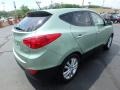 Kiwi Green - Tucson Limited AWD Photo No. 7