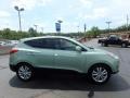 Kiwi Green - Tucson Limited AWD Photo No. 9