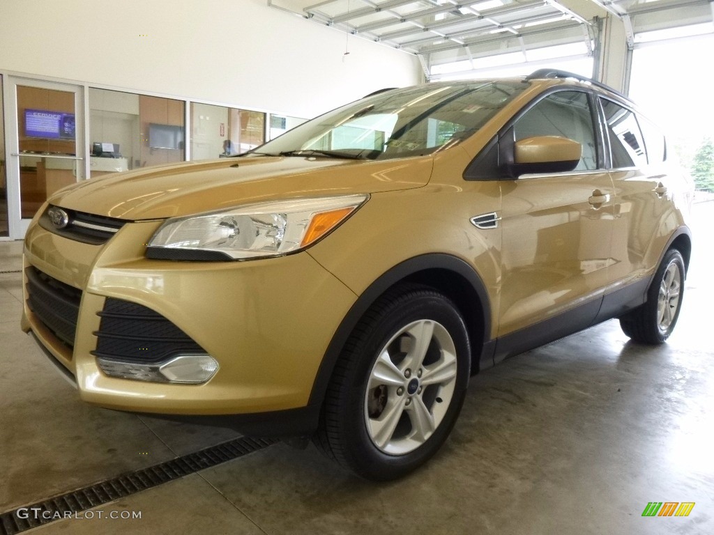 2014 Escape SE 1.6L EcoBoost 4WD - Karat Gold / Charcoal Black photo #5