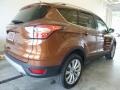 2017 Canyon Ridge Ford Escape Titanium 4WD  photo #2