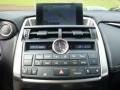 Nebula Gray Pearl - NX 200t AWD Photo No. 14