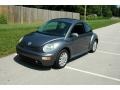 Dark Flint Metallic - New Beetle GLS TDI Coupe Photo No. 2