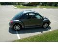 Dark Flint Metallic - New Beetle GLS TDI Coupe Photo No. 4