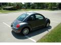 Dark Flint Metallic - New Beetle GLS TDI Coupe Photo No. 5