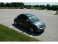 Dark Flint Metallic - New Beetle GLS TDI Coupe Photo No. 6
