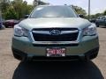 Jasmine Green Metallic - Forester 2.5i Photo No. 2