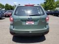 Jasmine Green Metallic - Forester 2.5i Photo No. 5