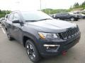 Rhino - Compass Trailhawk 4x4 Photo No. 10