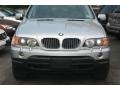 2003 Titanium Silver Metallic BMW X5 4.4i  photo #3