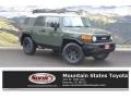 Army Green - FJ Cruiser 4WD Photo No. 1