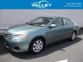 Aloe Green Metallic 2010 Toyota Camry LE