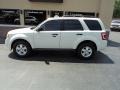 White Suede 2010 Ford Escape XLT 4WD