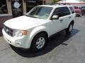 2010 White Suede Ford Escape XLT 4WD  photo #2