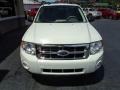 2010 White Suede Ford Escape XLT 4WD  photo #28