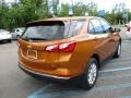 Orange Burst Metallic - Equinox LS AWD Photo No. 6