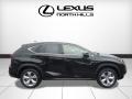 Obsidian - NX 200t AWD Photo No. 2