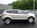 2017 White Gold Ford Escape SE 4WD  photo #1