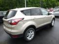 2017 White Gold Ford Escape SE 4WD  photo #2