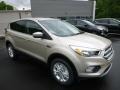2017 White Gold Ford Escape SE 4WD  photo #3