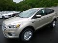 2017 White Gold Ford Escape SE 4WD  photo #5
