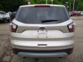 2017 White Gold Ford Escape SE 4WD  photo #3