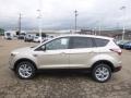 2017 White Gold Ford Escape SE 4WD  photo #6
