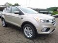 2017 White Gold Ford Escape SE 4WD  photo #9