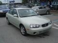 Platinum Green Metallic - Elantra GLS Sedan Photo No. 16